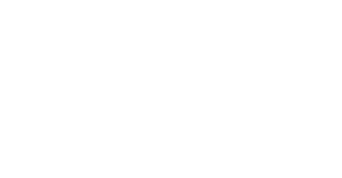 BRI Corporate University